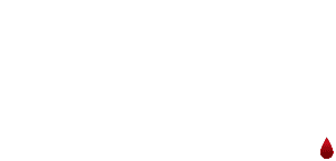 5 SECONDS OF SUMMER
