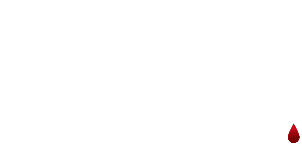 FRANZ FERDINAND